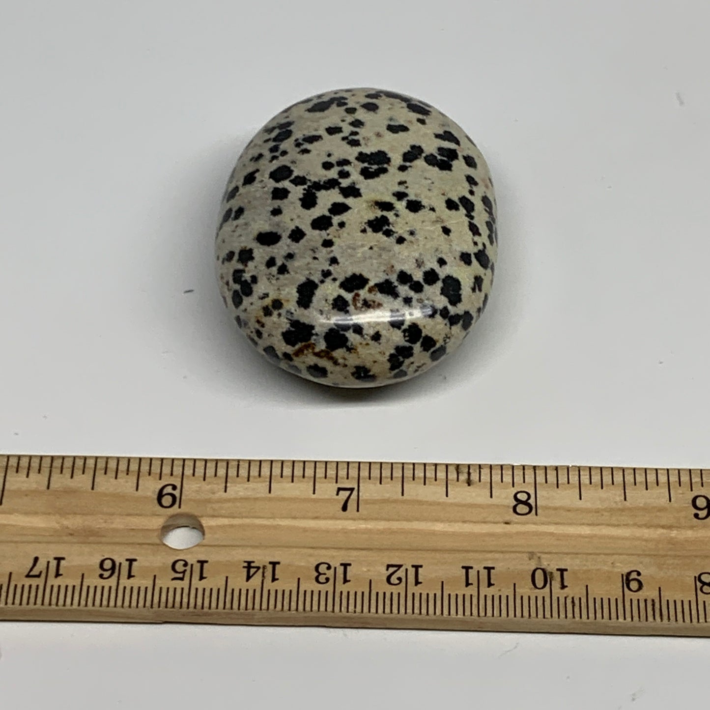 80.1g, 2.2"x1.7"x0.8", Natural Dalmatian Jasper Palm-Stone @India, B29473