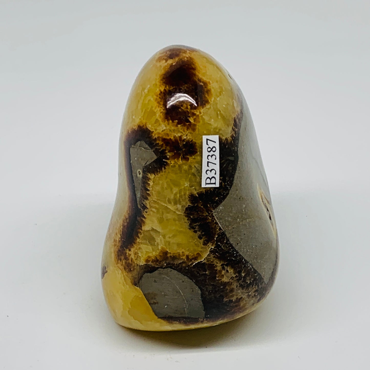 1.01 lbs, 3.4"x2.7"x2.1", Septarian Nodules Freeform Polished Crystal, B37387