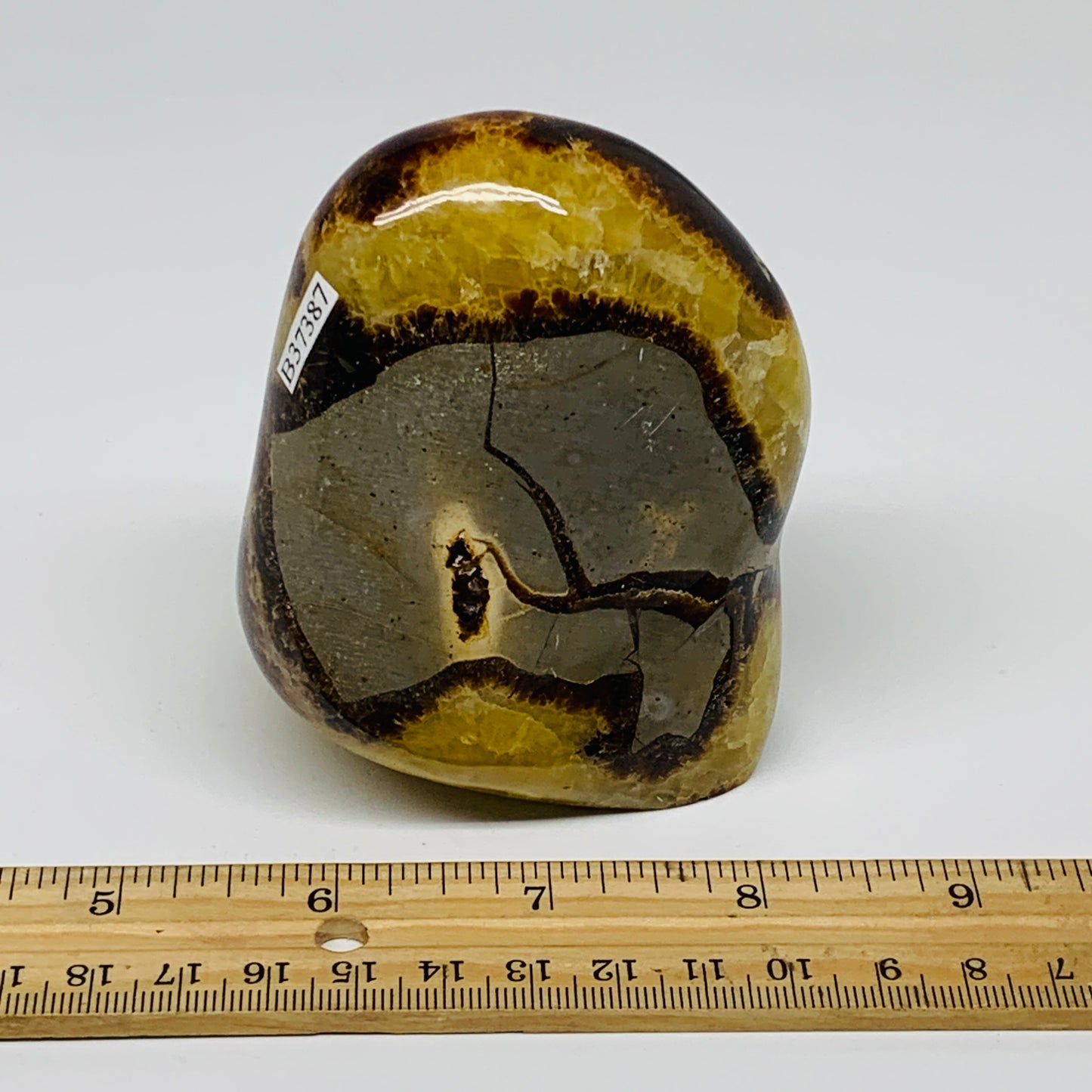 1.01 lbs, 3.4"x2.7"x2.1", Septarian Nodules Freeform Polished Crystal, B37387