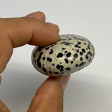 77.7g, 2.3"x1.6"x0.9", Natural Dalmatian Jasper Palm-Stone @India, B29474