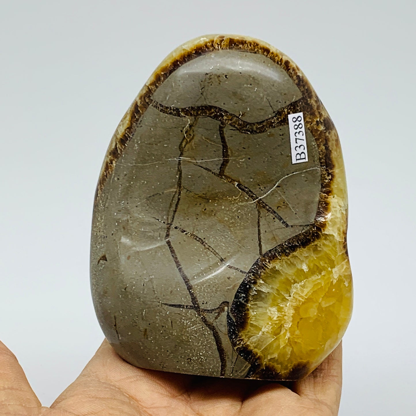 1.05 lbs, 3.8"x3"x1.6", Septarian Nodules Freeform Polished Crystal, B37388