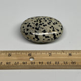 77.7g, 2.3"x1.6"x0.9", Natural Dalmatian Jasper Palm-Stone @India, B29474