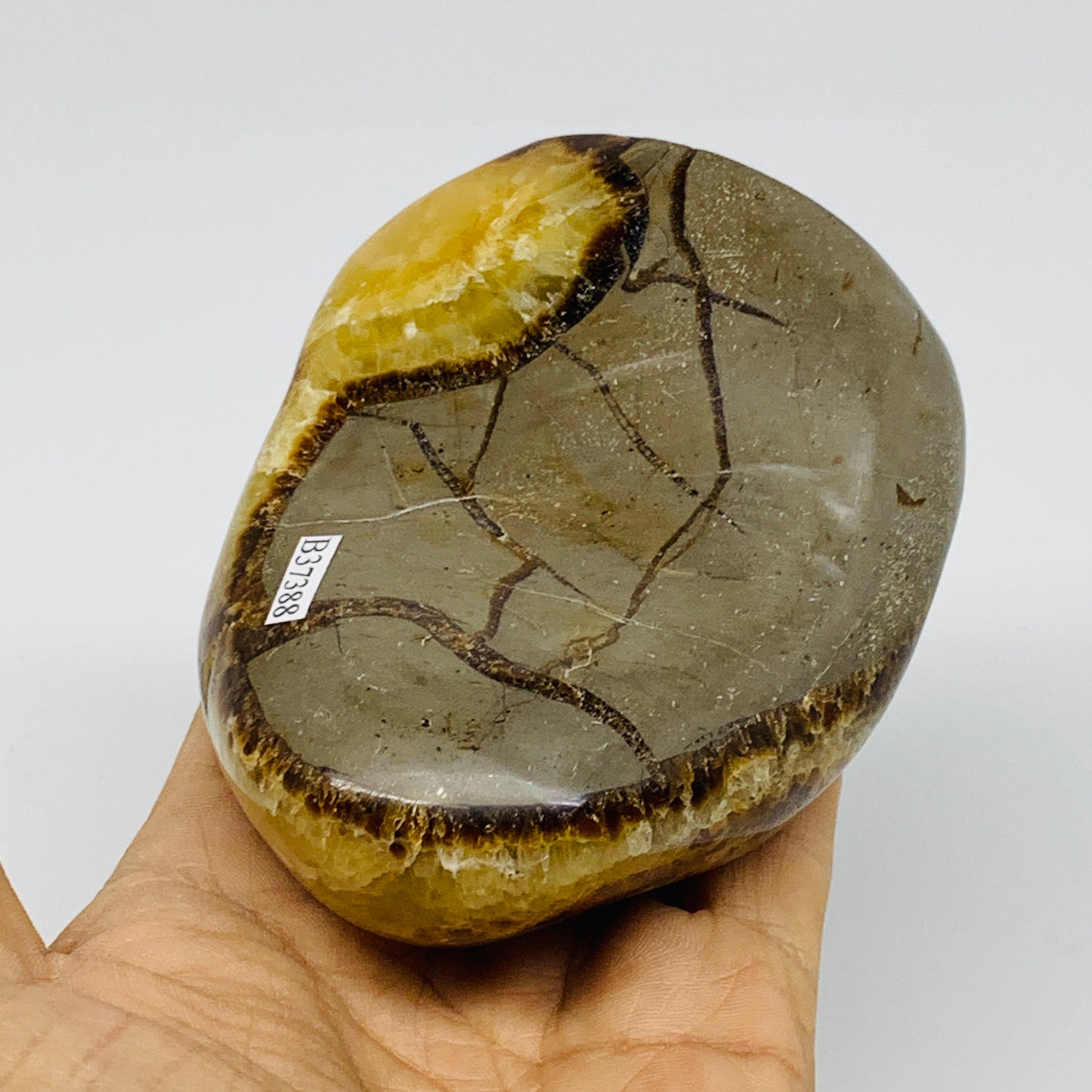 1.05 lbs, 3.8"x3"x1.6", Septarian Nodules Freeform Polished Crystal, B37388