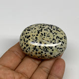 77.6g, 2.1"x1.6"x0.9", Natural Dalmatian Jasper Palm-Stone @India, B29475