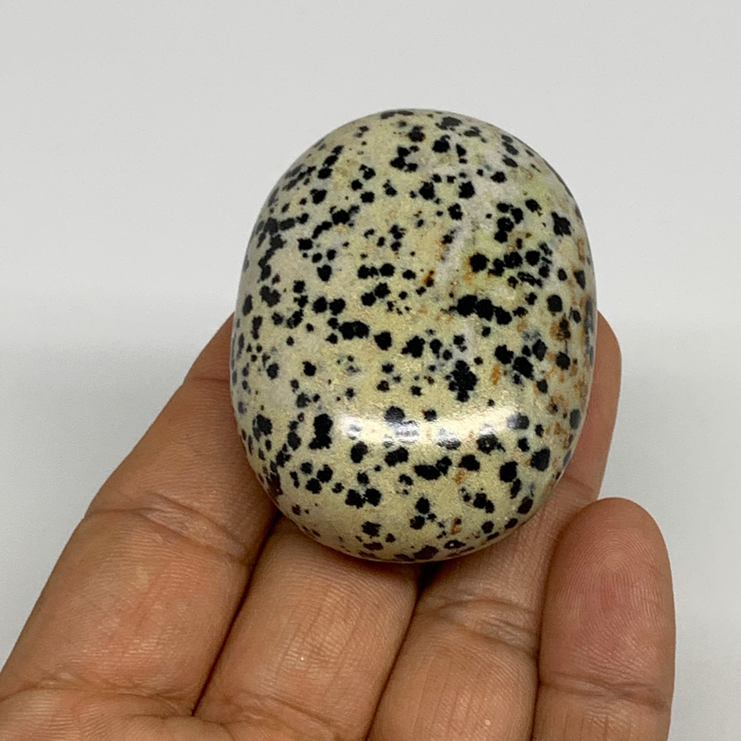 77.6g, 2.1"x1.6"x0.9", Natural Dalmatian Jasper Palm-Stone @India, B29475
