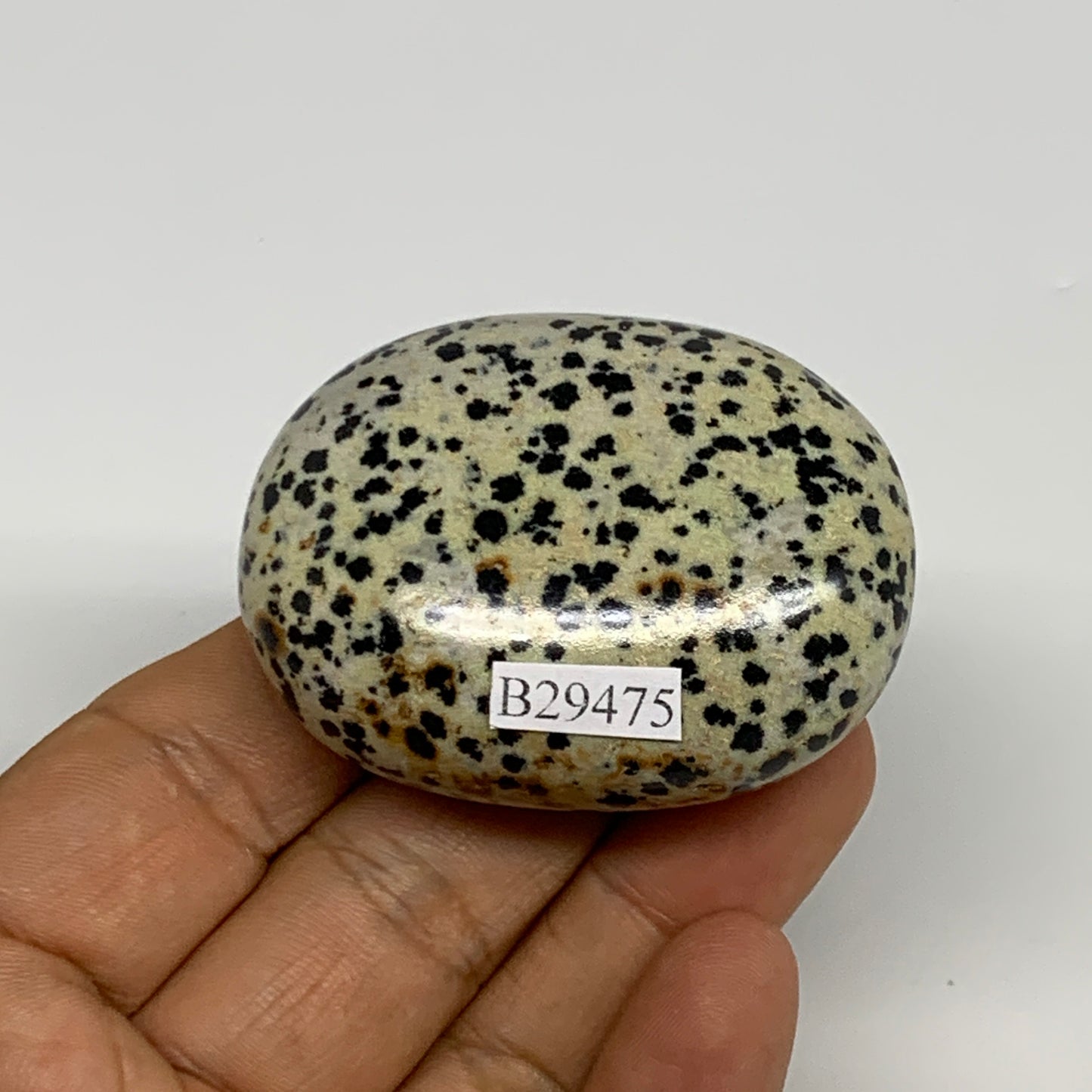 77.6g, 2.1"x1.6"x0.9", Natural Dalmatian Jasper Palm-Stone @India, B29475
