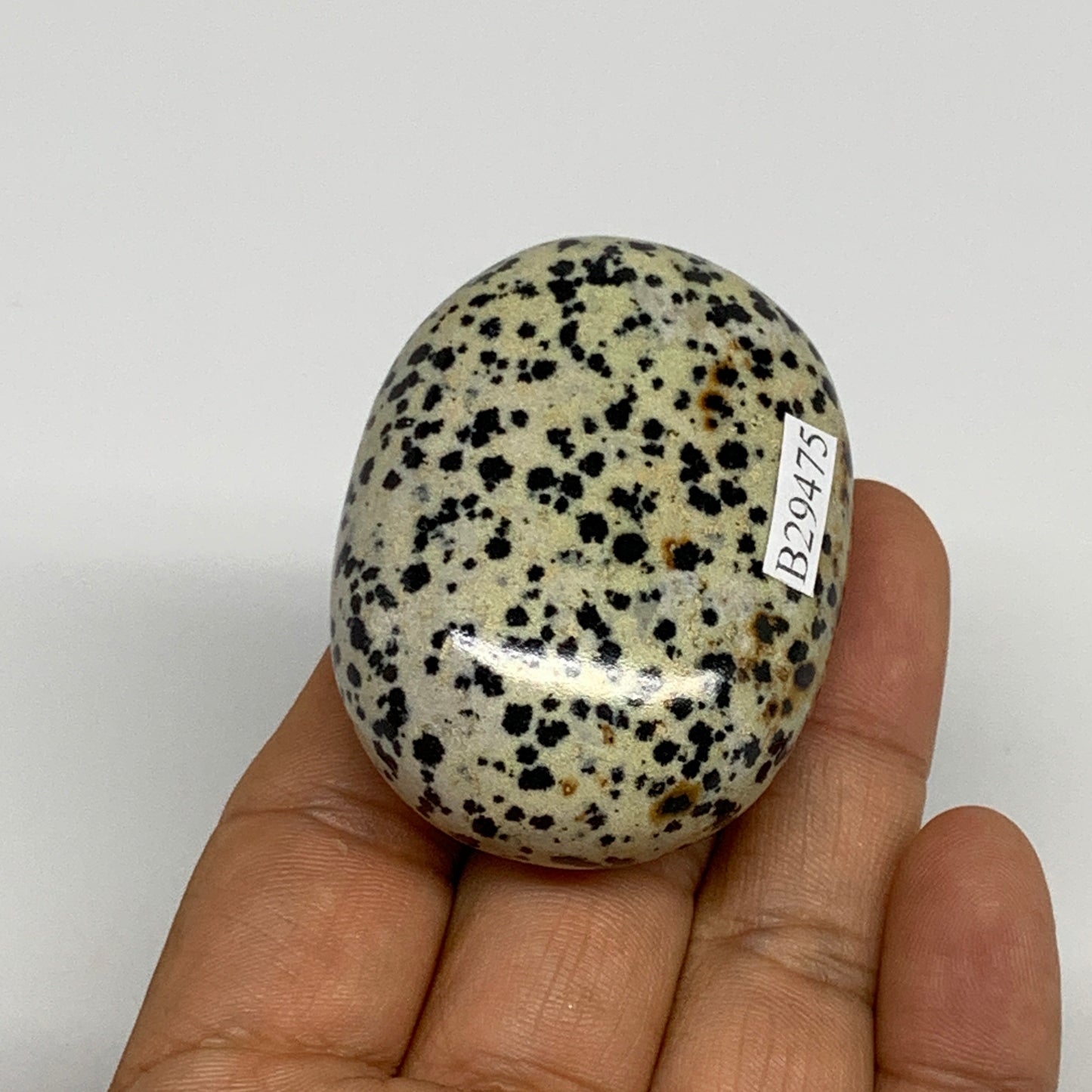 77.6g, 2.1"x1.6"x0.9", Natural Dalmatian Jasper Palm-Stone @India, B29475