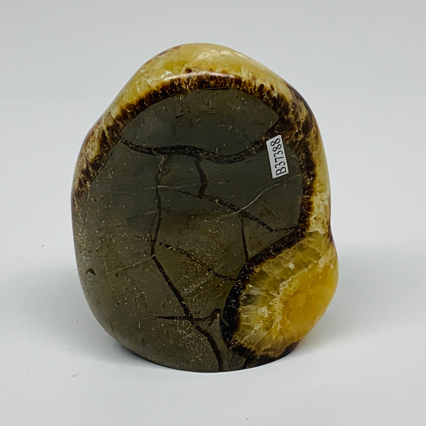 1.05 lbs, 3.8"x3"x1.6", Septarian Nodules Freeform Polished Crystal, B37388