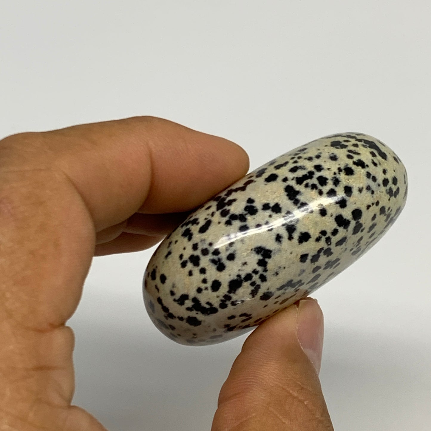 77.6g, 2.1"x1.6"x0.9", Natural Dalmatian Jasper Palm-Stone @India, B29475