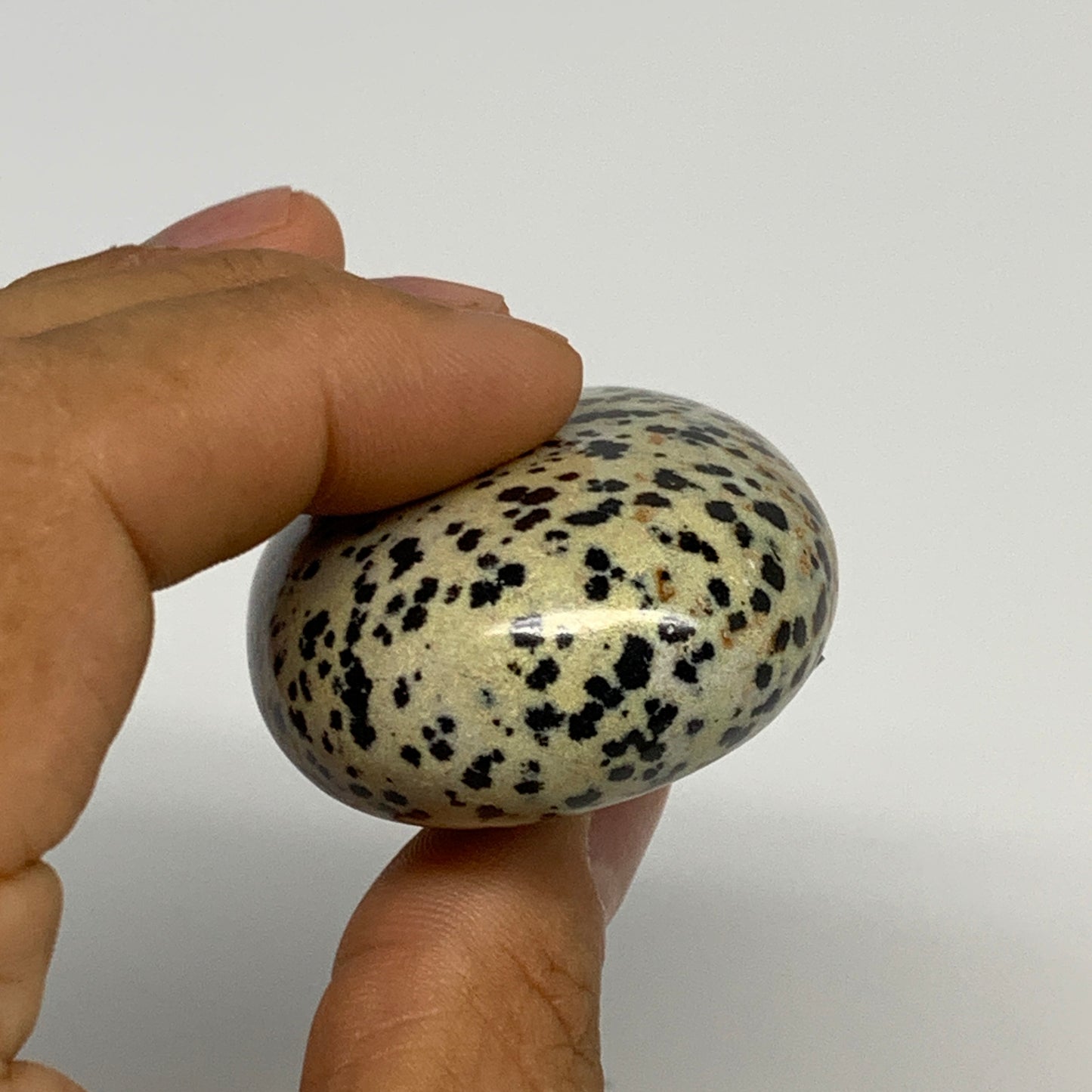 77.6g, 2.1"x1.6"x0.9", Natural Dalmatian Jasper Palm-Stone @India, B29475