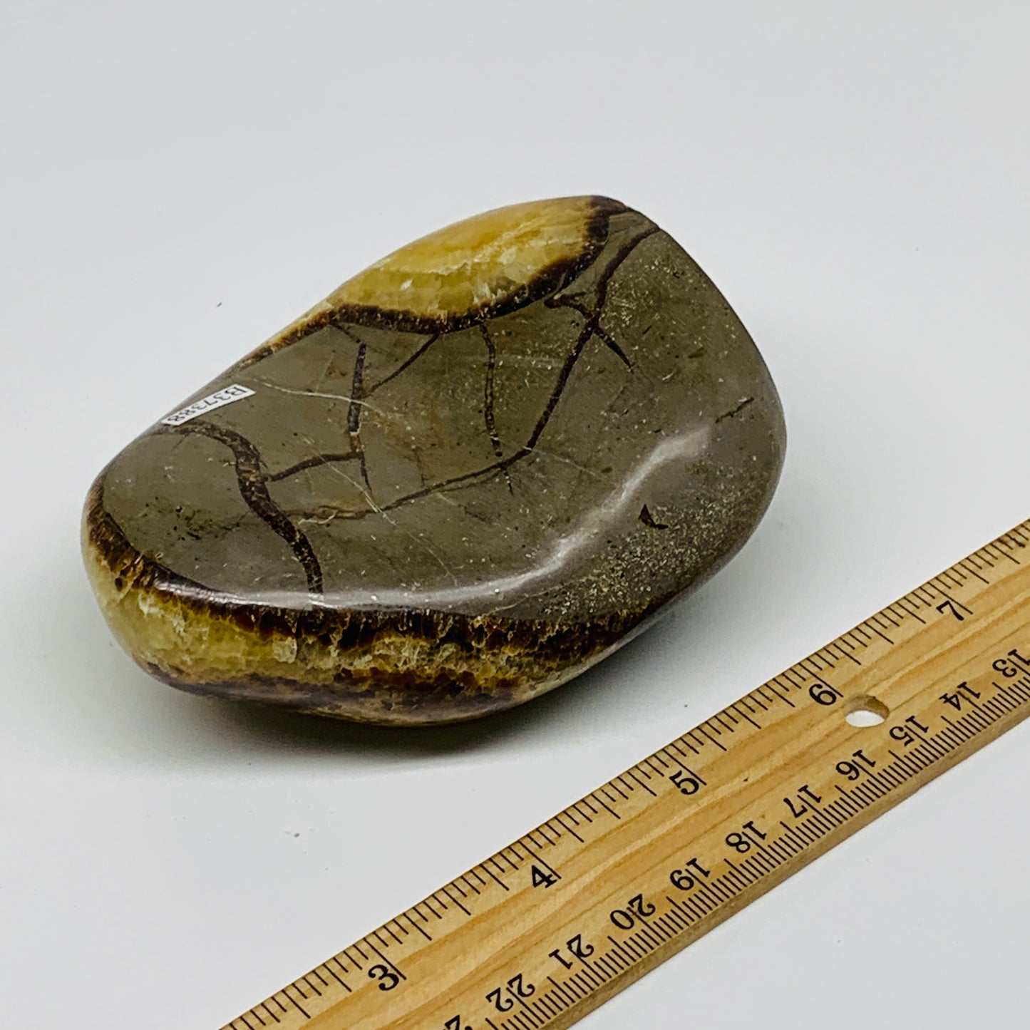 1.05 lbs, 3.8"x3"x1.6", Septarian Nodules Freeform Polished Crystal, B37388