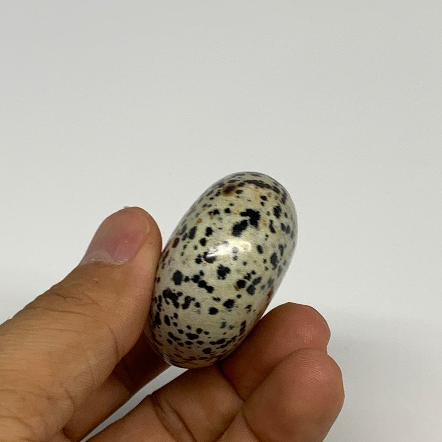 77.6g, 2.1"x1.6"x0.9", Natural Dalmatian Jasper Palm-Stone @India, B29475