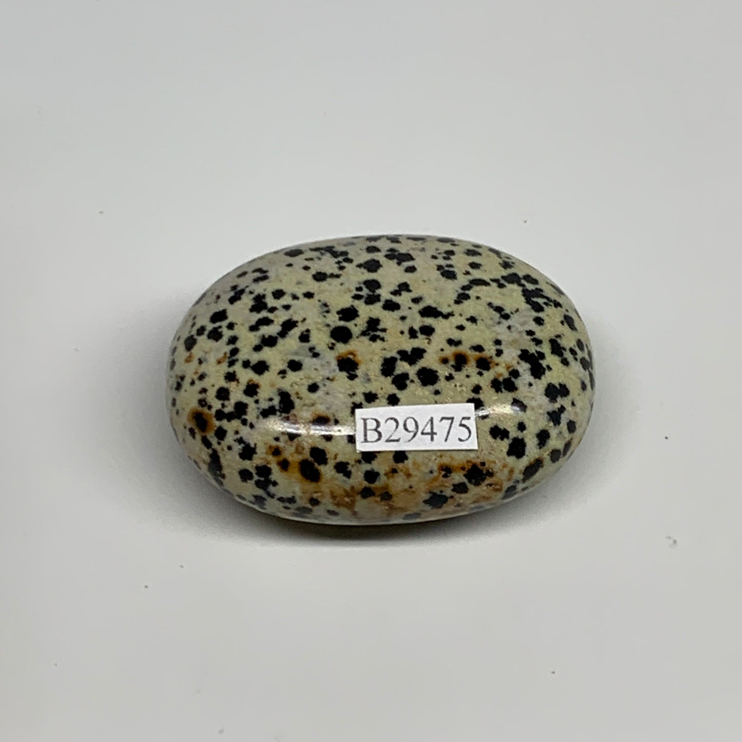 77.6g, 2.1"x1.6"x0.9", Natural Dalmatian Jasper Palm-Stone @India, B29475