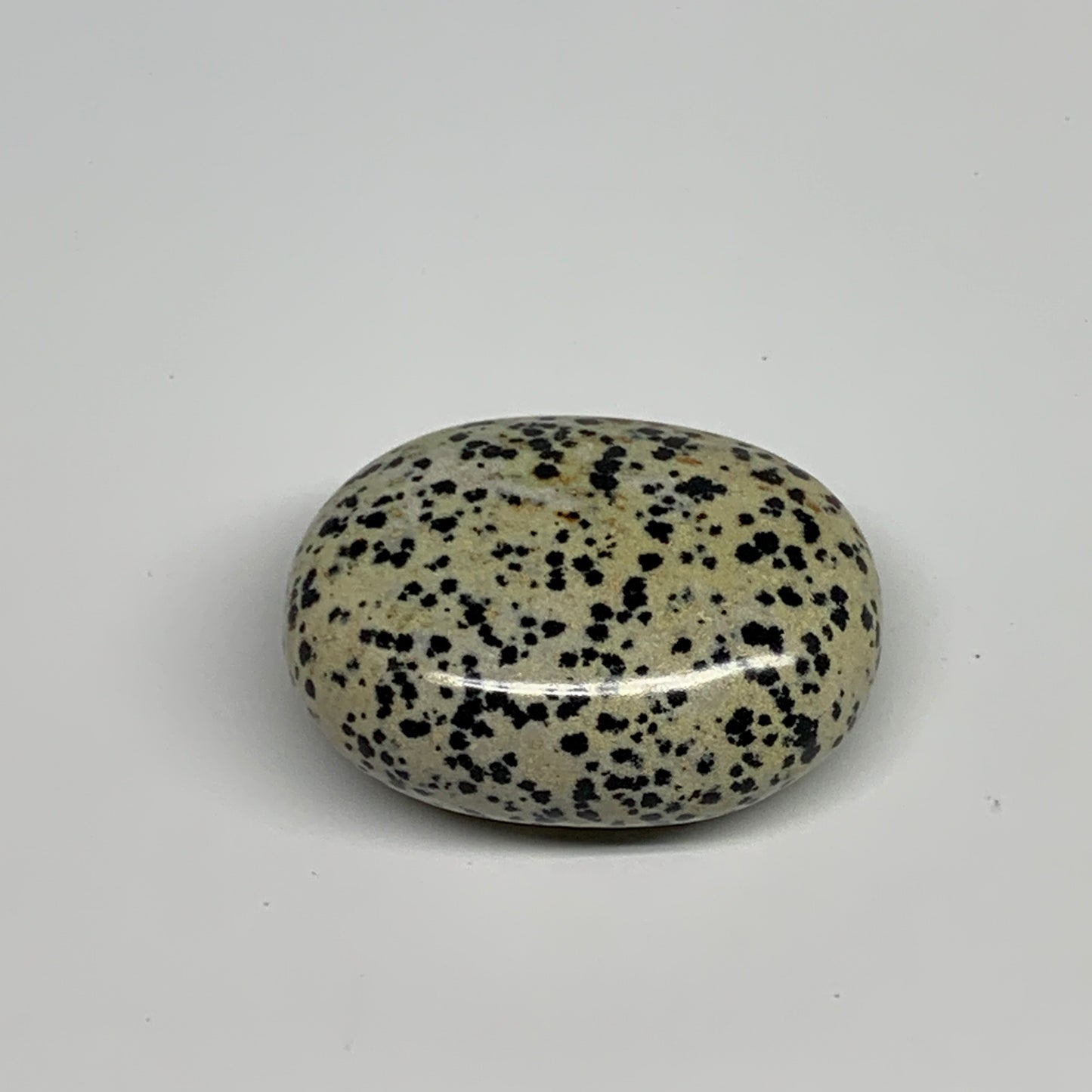77.6g, 2.1"x1.6"x0.9", Natural Dalmatian Jasper Palm-Stone @India, B29475
