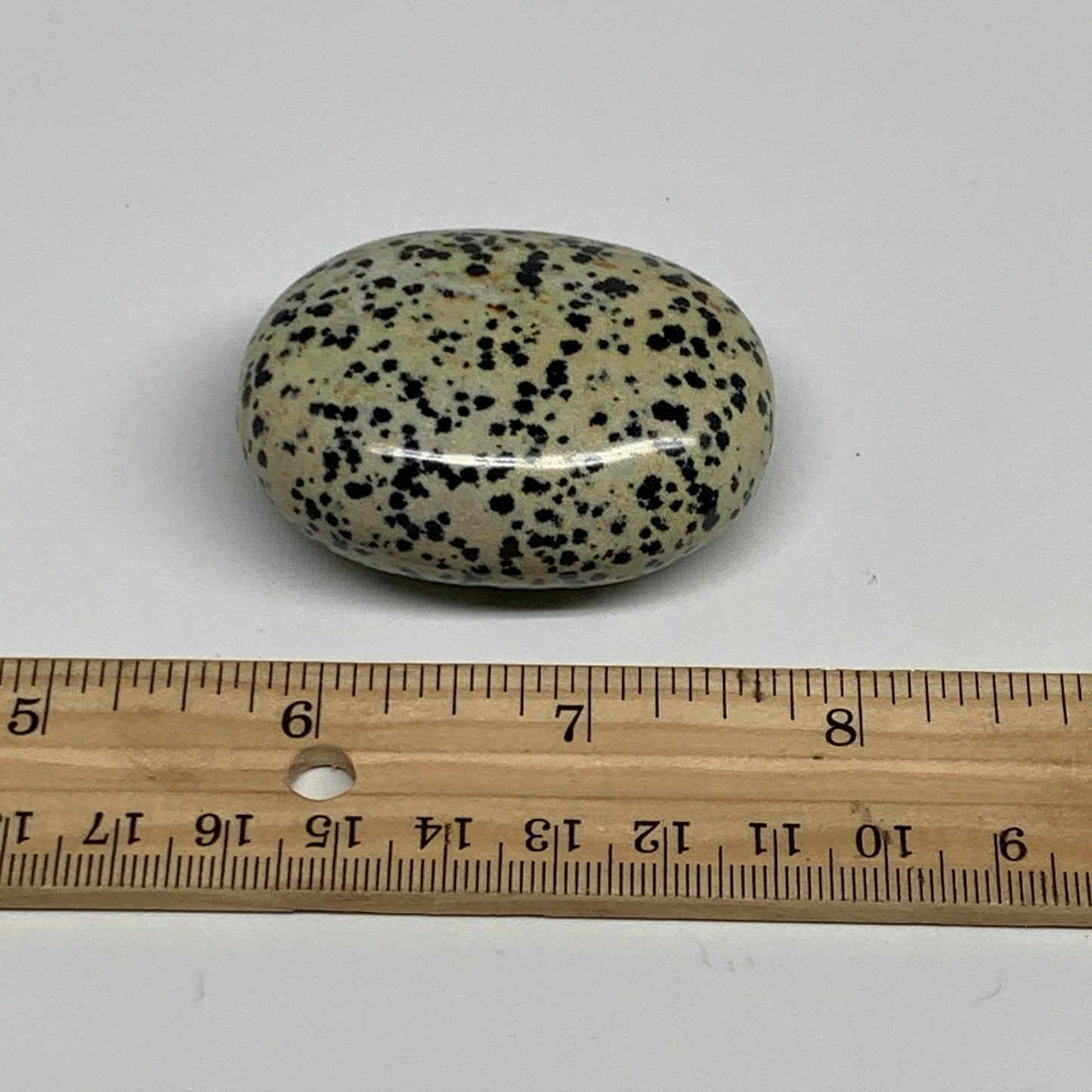 77.6g, 2.1"x1.6"x0.9", Natural Dalmatian Jasper Palm-Stone @India, B29475