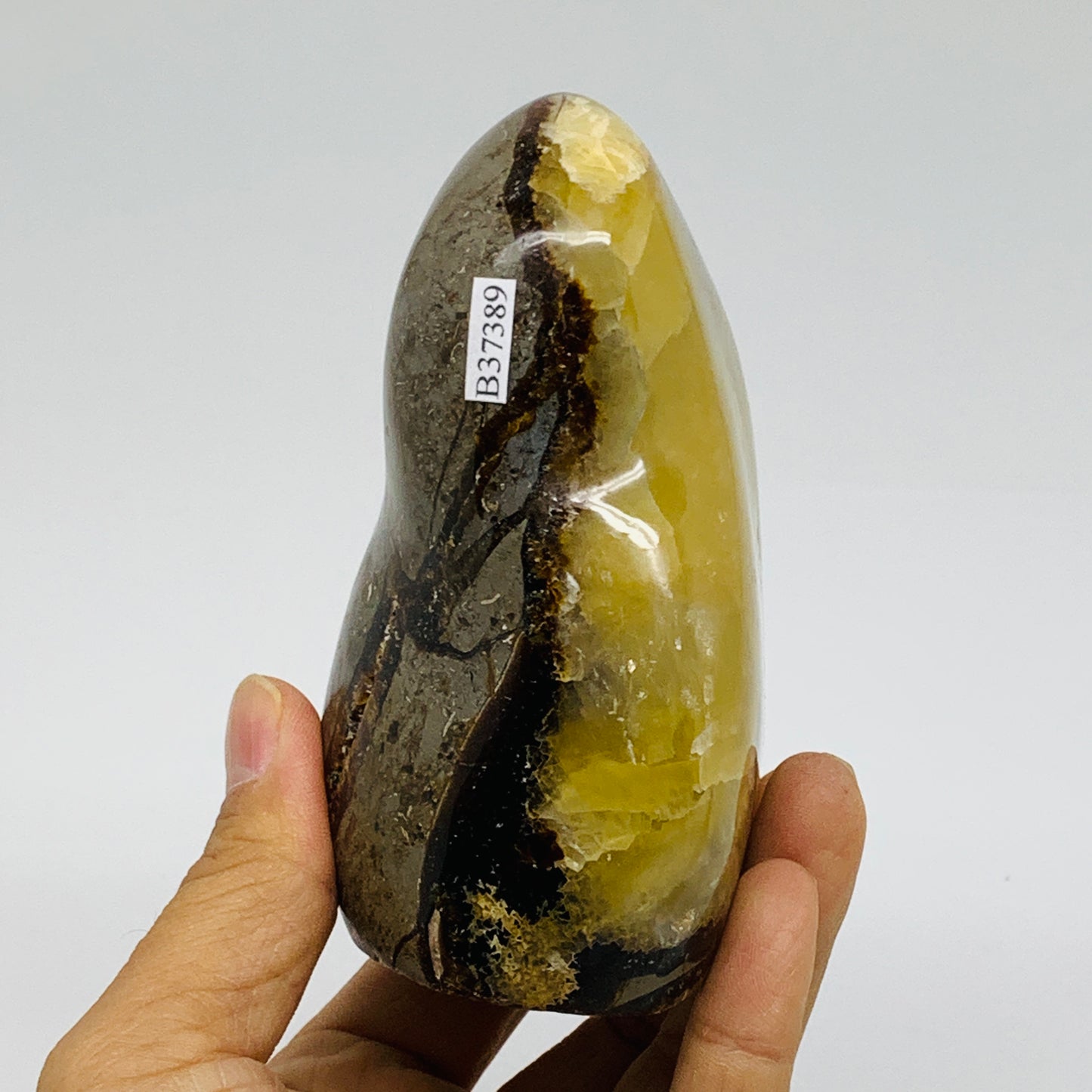 1.3 lbs, 4.1"x2.8"x2.2", Septarian Nodules Freeform Polished Crystal, B37389