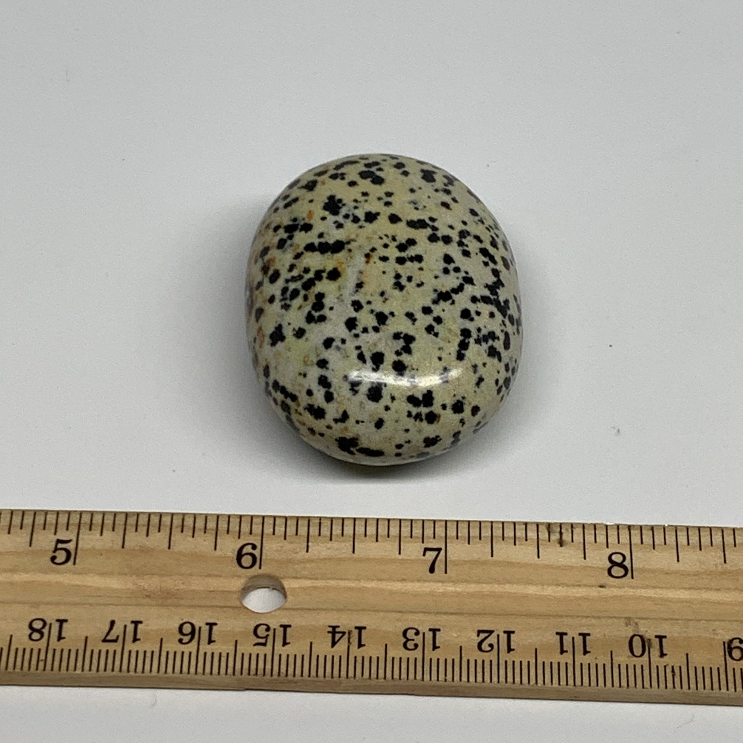 77.6g, 2.1"x1.6"x0.9", Natural Dalmatian Jasper Palm-Stone @India, B29475