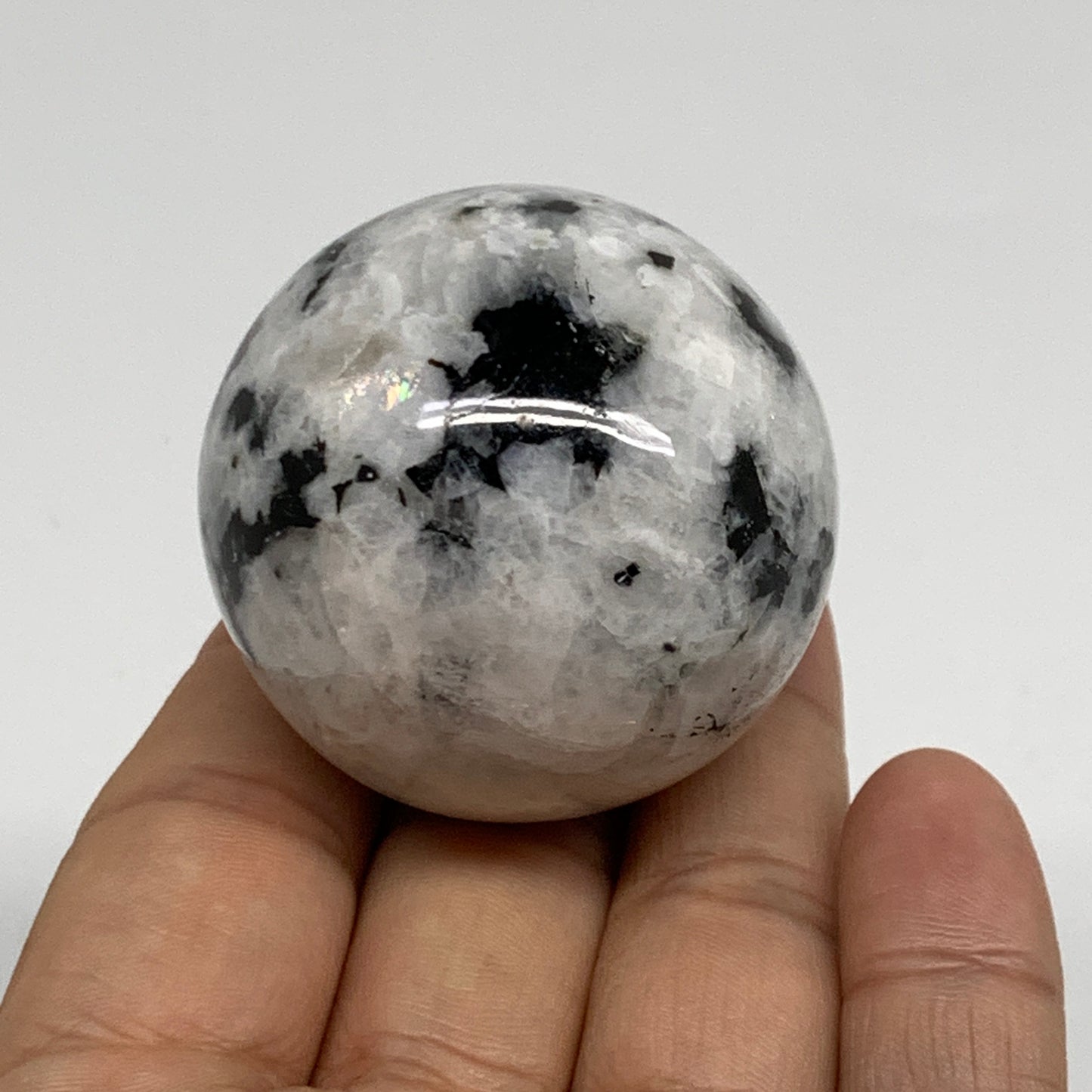 117.2g, 1.7"(44mm), Natural Rainbow Moonstone Sphere Ball Gemstone, B35166