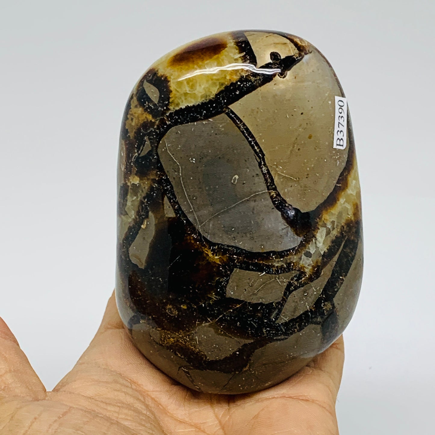 1.2 lbs, 3.8"x2.7"x2.1", Septarian Nodules Freeform Polished Crystal, B37390