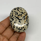 75.4g, 2.2"x1.6"x0.8", Natural Dalmatian Jasper Palm-Stone @India, B29477