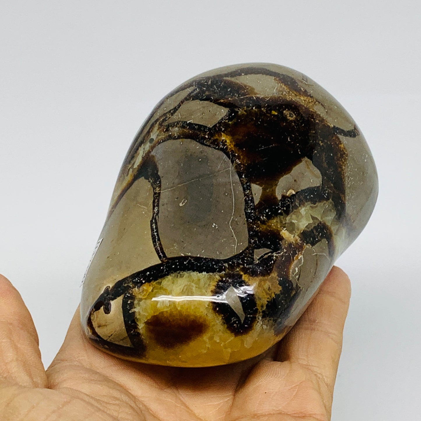 1.2 lbs, 3.8"x2.7"x2.1", Septarian Nodules Freeform Polished Crystal, B37390
