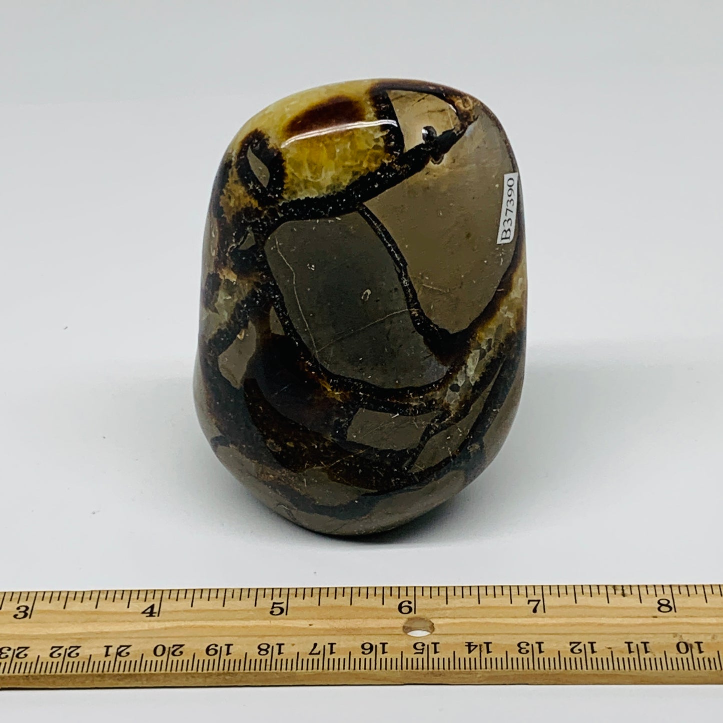 1.2 lbs, 3.8"x2.7"x2.1", Septarian Nodules Freeform Polished Crystal, B37390