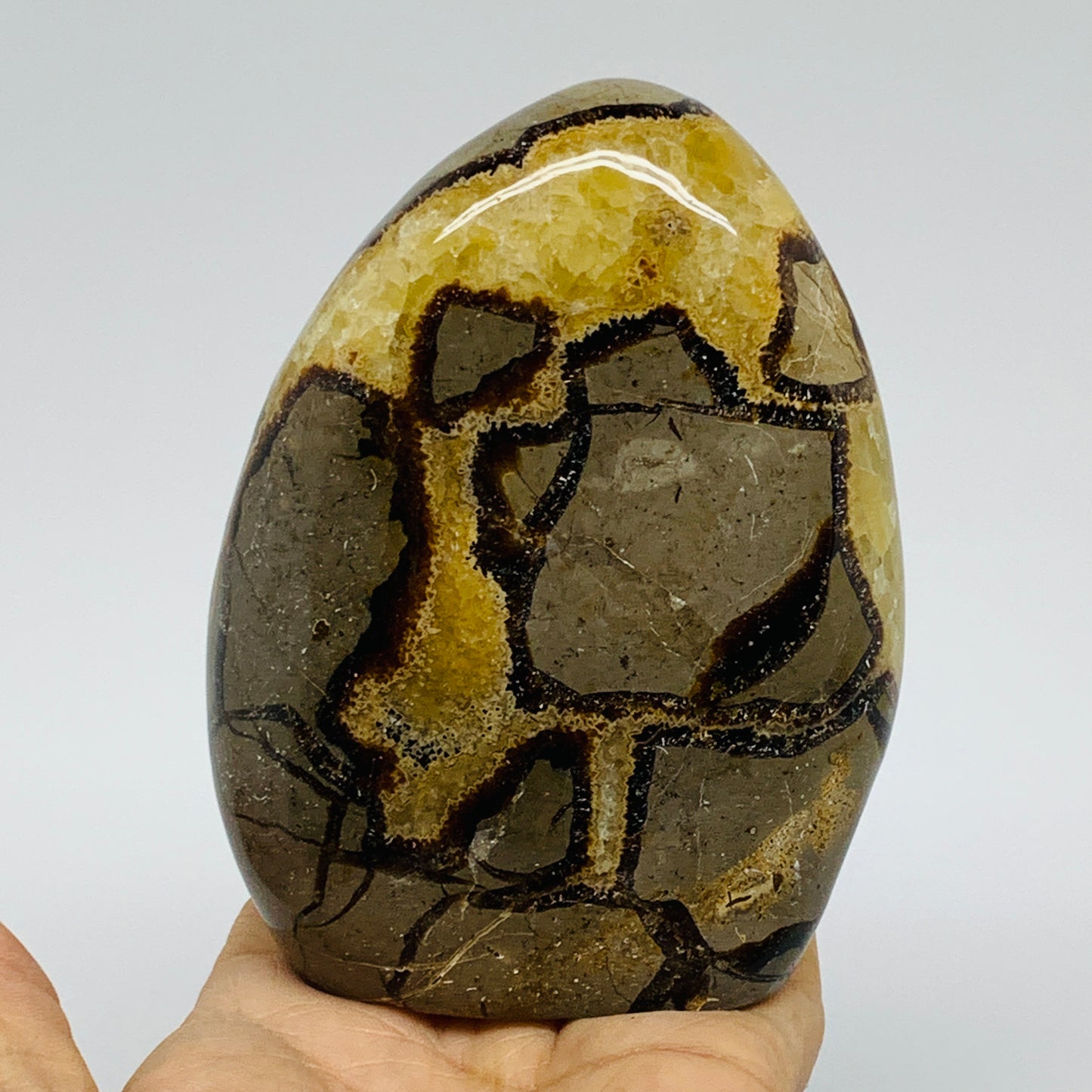 1.24 lbs, 4.3"x3.3"x1.5", Septarian Nodules Freeform Polished Crystal, B37391