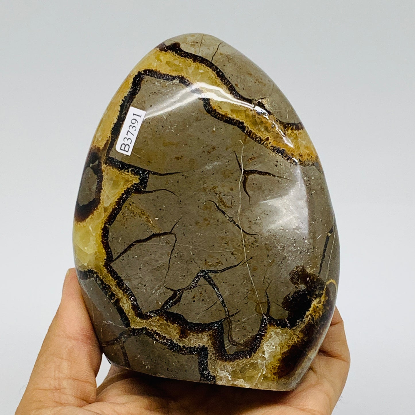 1.24 lbs, 4.3"x3.3"x1.5", Septarian Nodules Freeform Polished Crystal, B37391