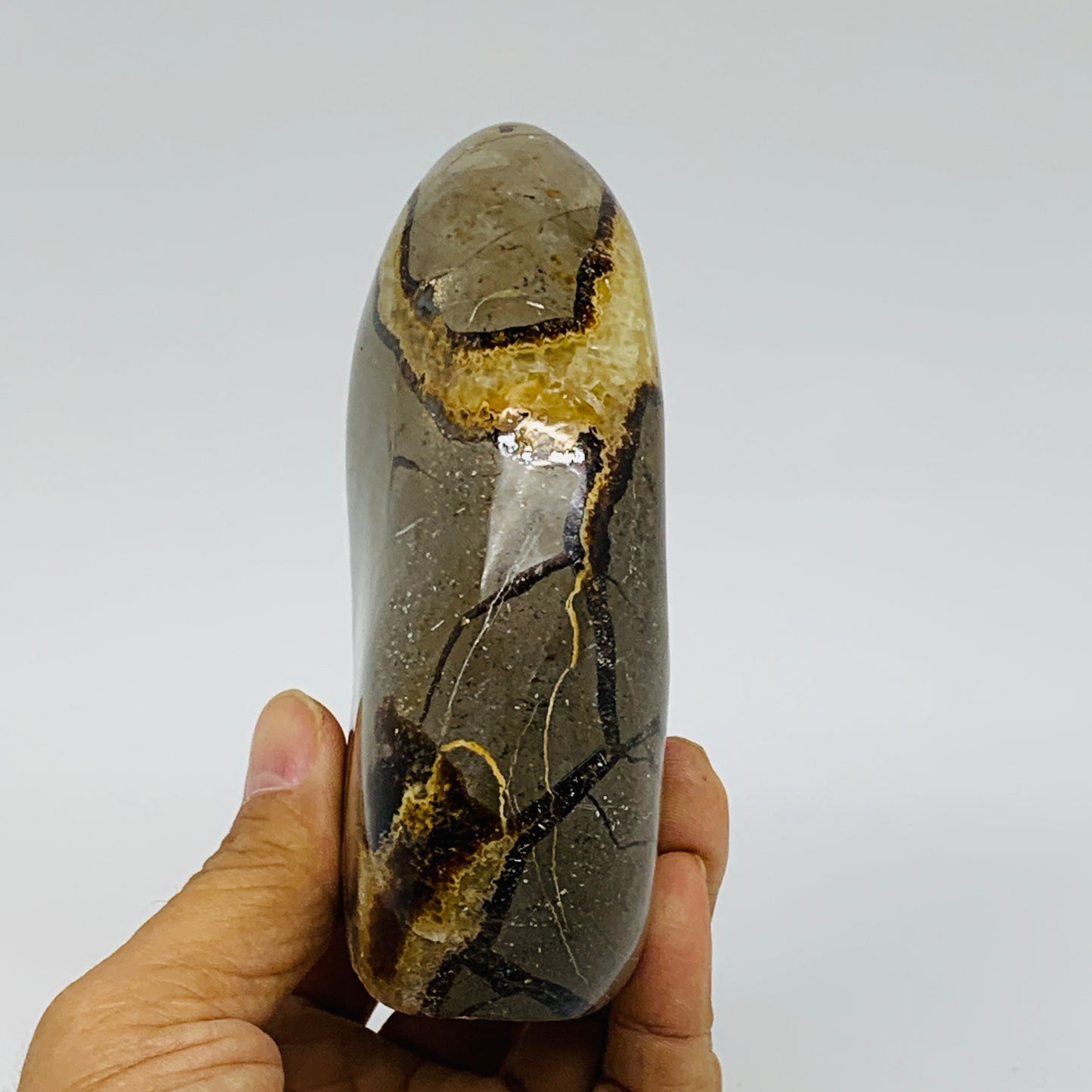 1.24 lbs, 4.3"x3.3"x1.5", Septarian Nodules Freeform Polished Crystal, B37391