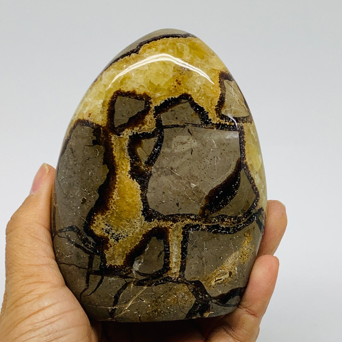 1.24 lbs, 4.3"x3.3"x1.5", Septarian Nodules Freeform Polished Crystal, B37391