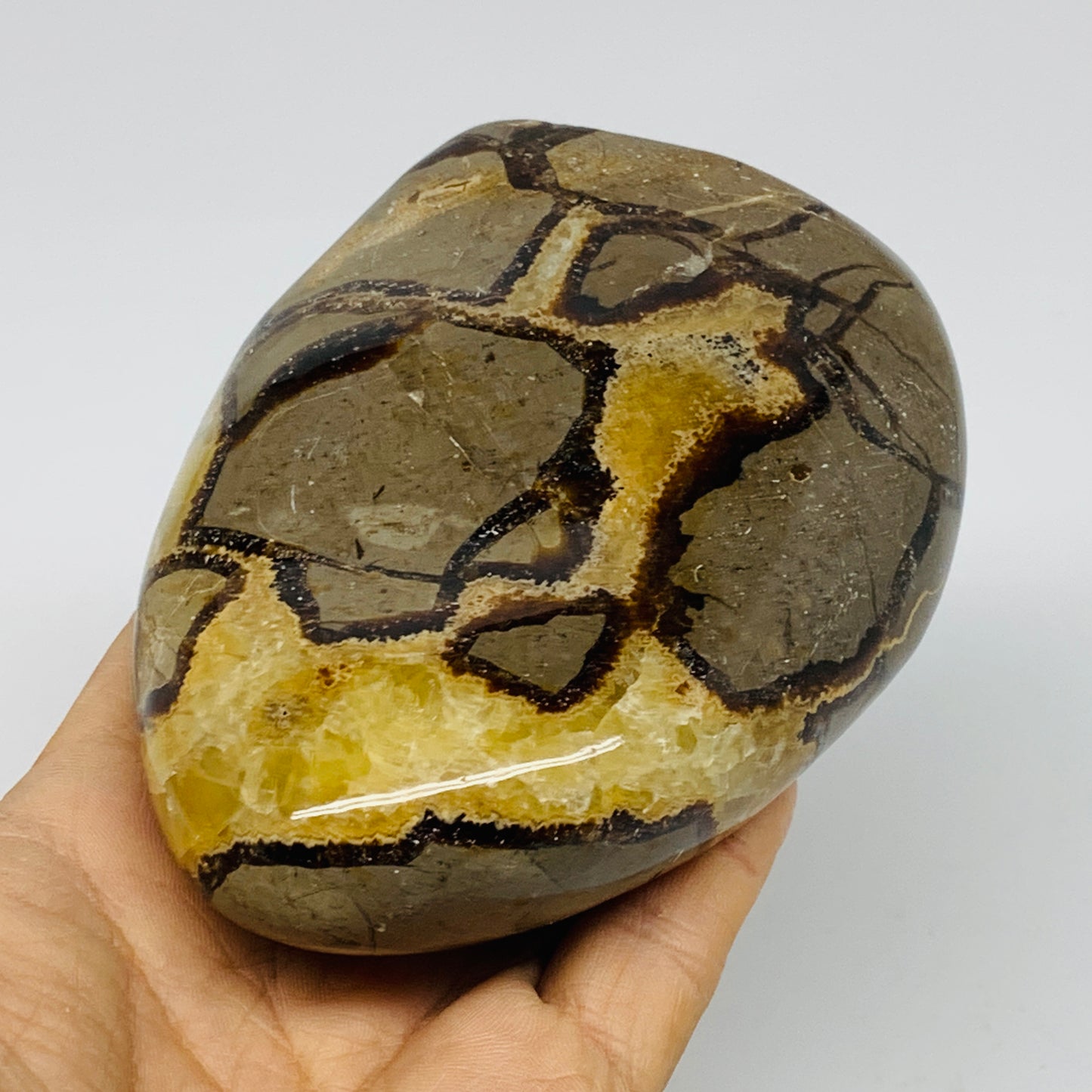 1.24 lbs, 4.3"x3.3"x1.5", Septarian Nodules Freeform Polished Crystal, B37391