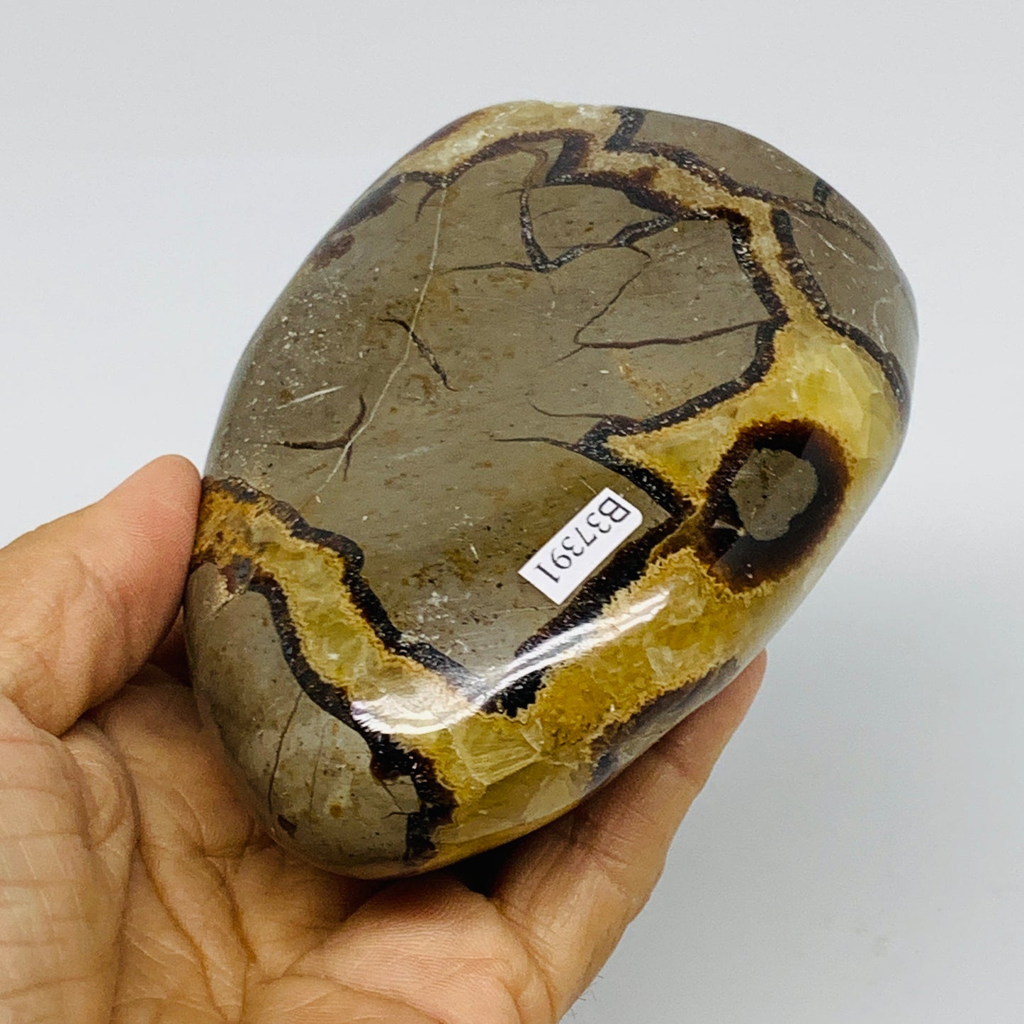 1.24 lbs, 4.3"x3.3"x1.5", Septarian Nodules Freeform Polished Crystal, B37391