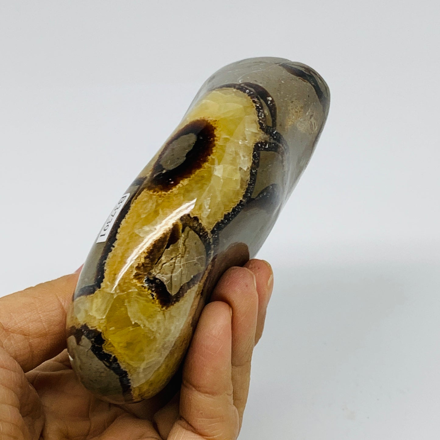 1.24 lbs, 4.3"x3.3"x1.5", Septarian Nodules Freeform Polished Crystal, B37391