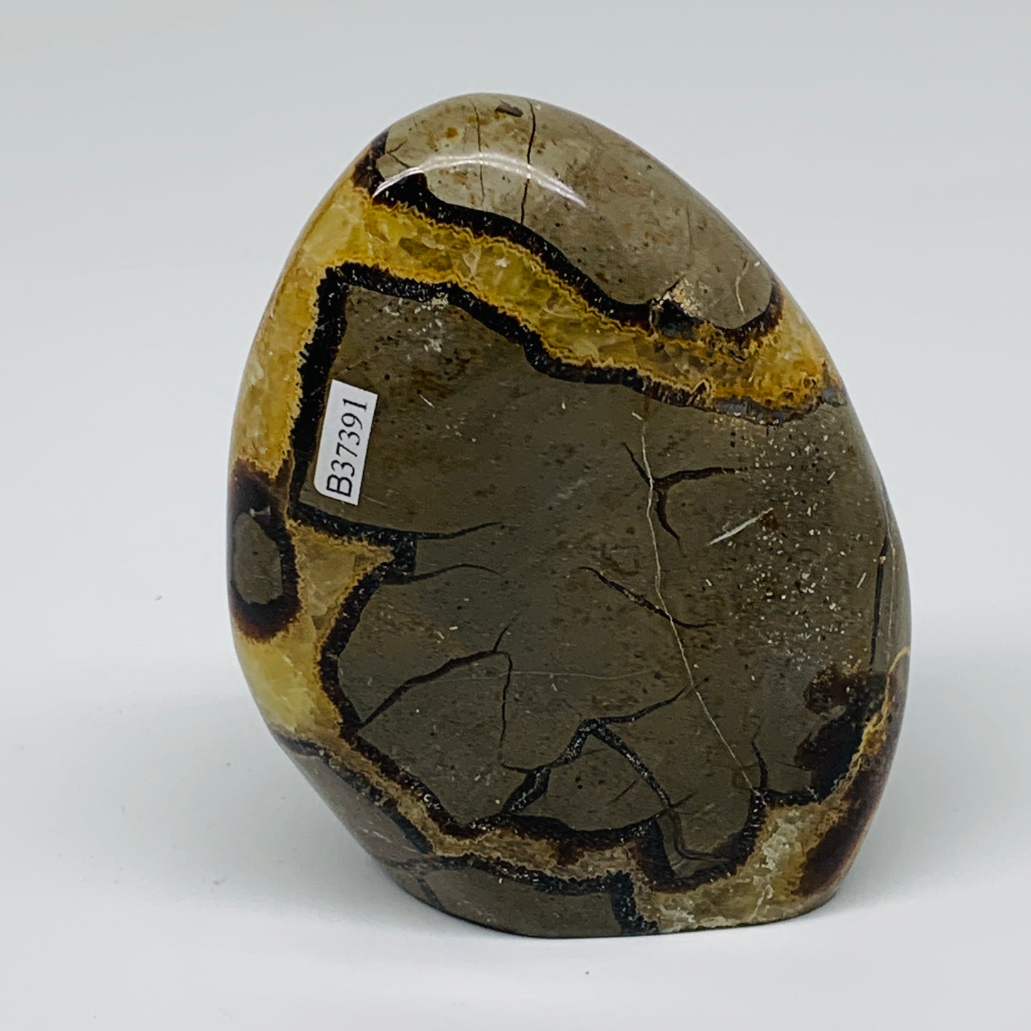 1.24 lbs, 4.3"x3.3"x1.5", Septarian Nodules Freeform Polished Crystal, B37391