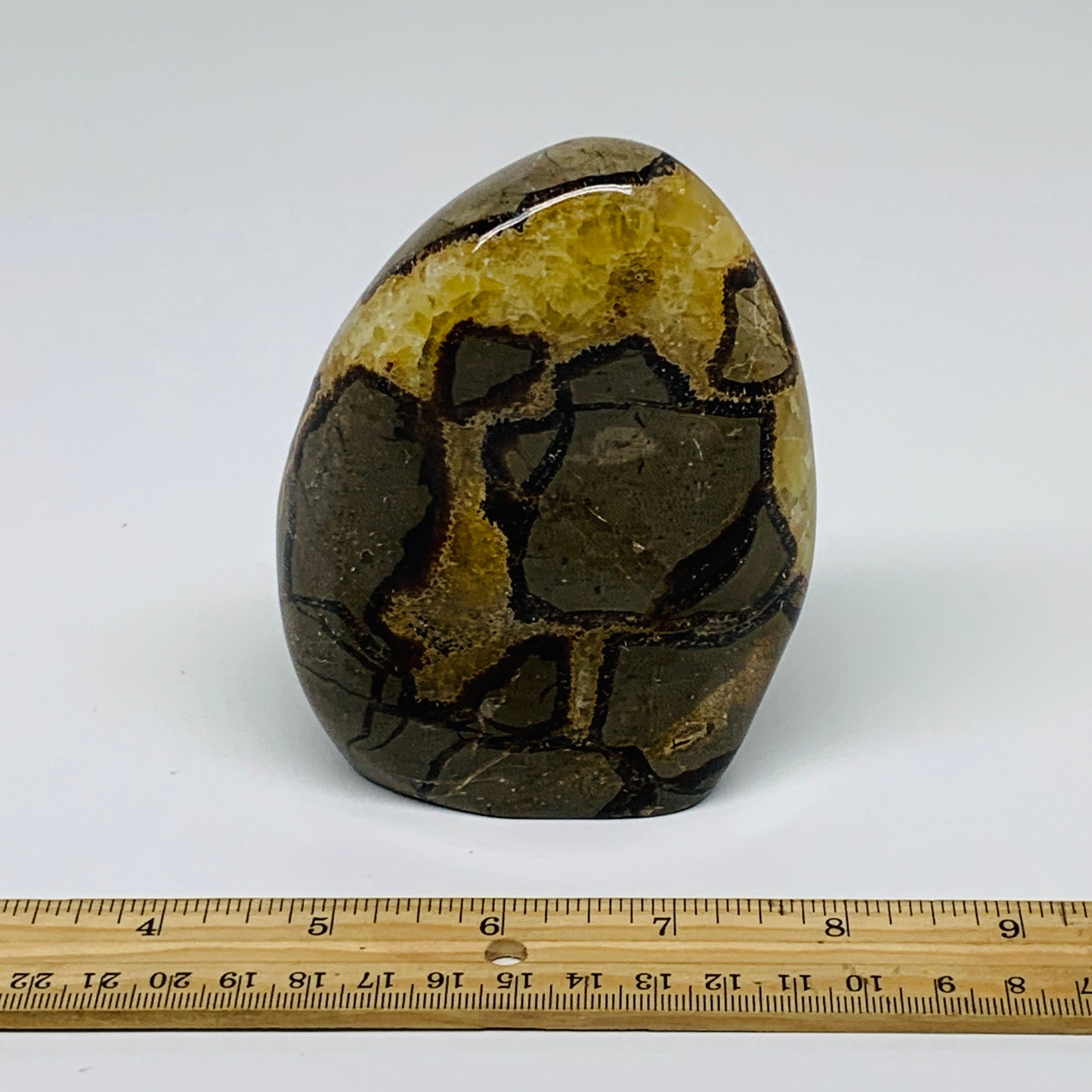 1.24 lbs, 4.3"x3.3"x1.5", Septarian Nodules Freeform Polished Crystal, B37391