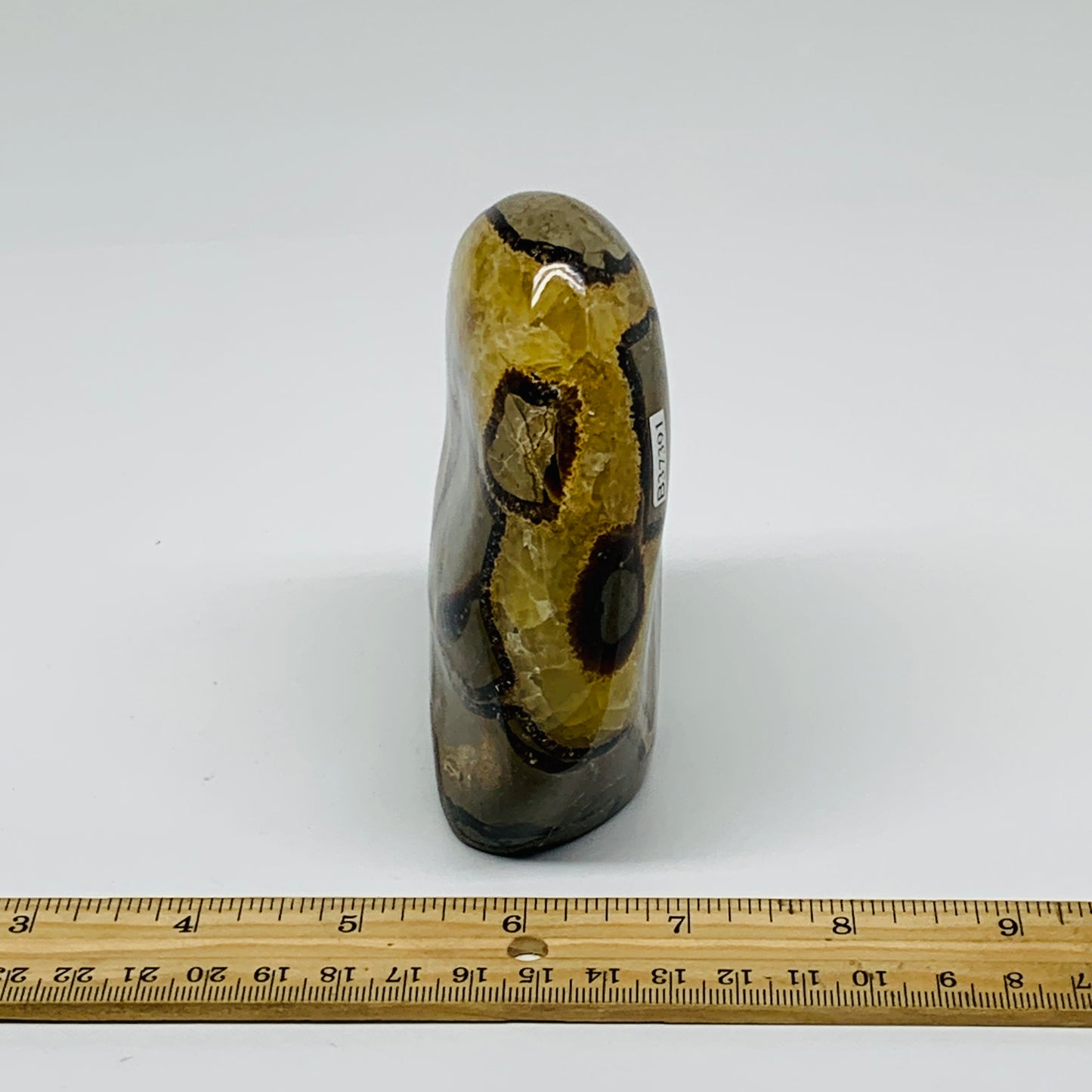 1.24 lbs, 4.3"x3.3"x1.5", Septarian Nodules Freeform Polished Crystal, B37391