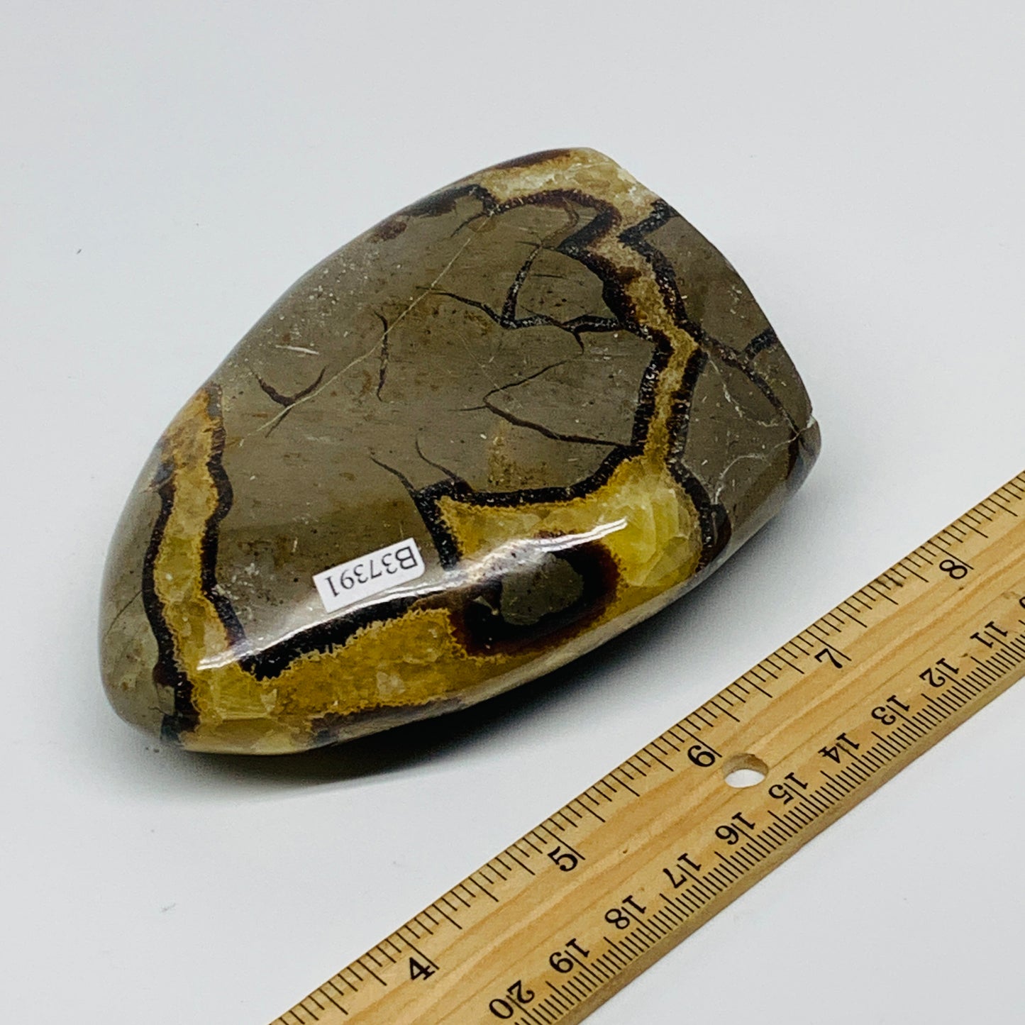 1.24 lbs, 4.3"x3.3"x1.5", Septarian Nodules Freeform Polished Crystal, B37391