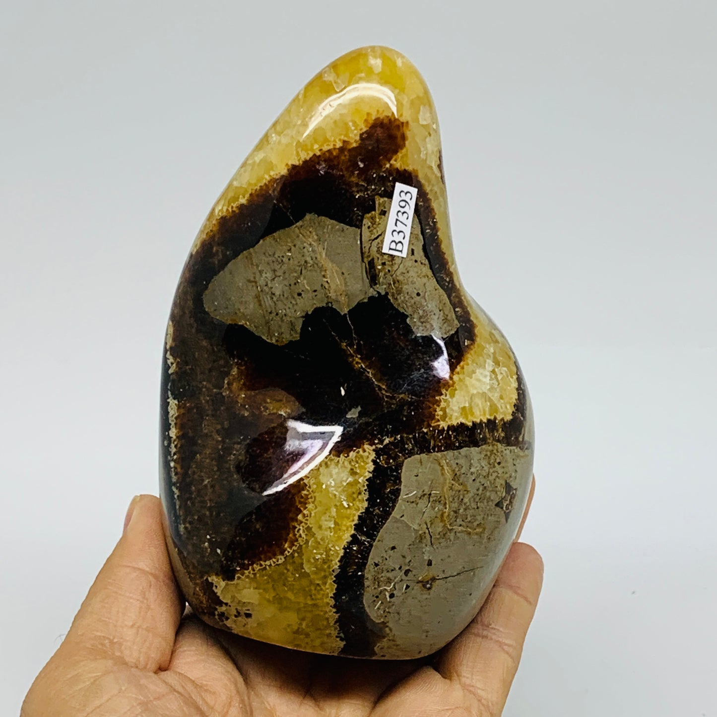 1.8 lbs, 4.7"x3.1"x2.6", Septarian Nodules Freeform Polished Crystal, B37393