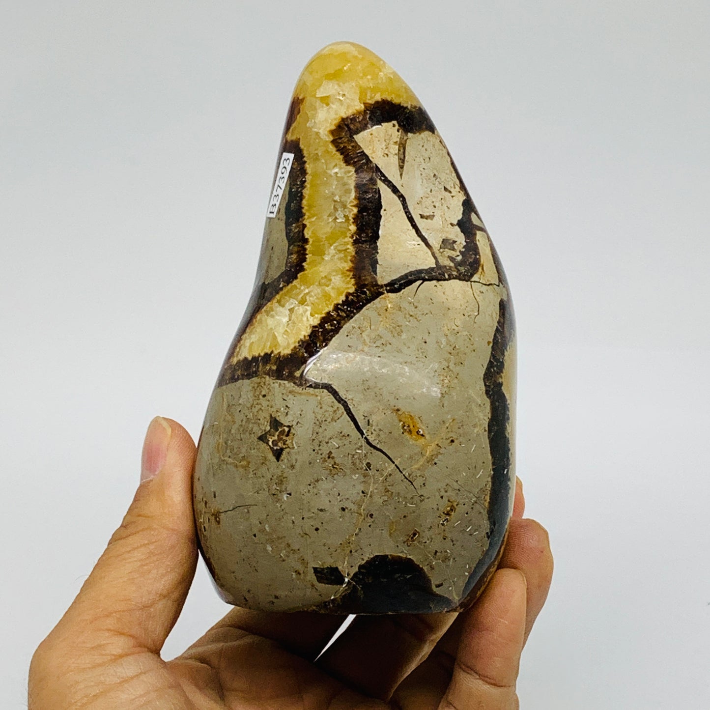 1.8 lbs, 4.7"x3.1"x2.6", Septarian Nodules Freeform Polished Crystal, B37393