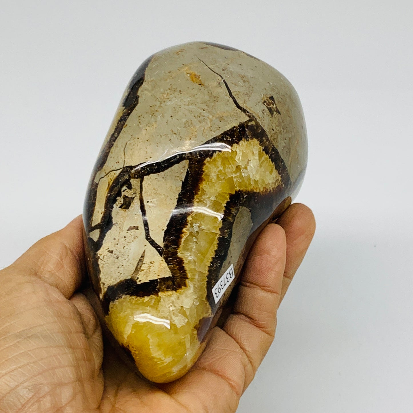 1.8 lbs, 4.7"x3.1"x2.6", Septarian Nodules Freeform Polished Crystal, B37393