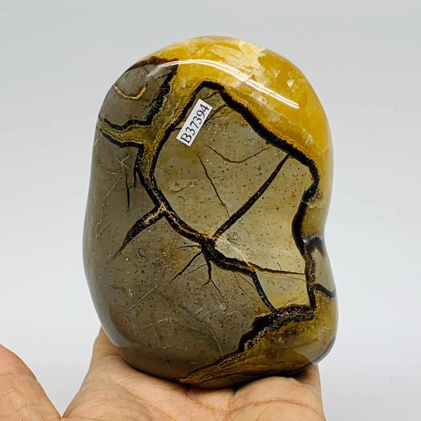 1.55 lbs, 4.2"x3"x2", Septarian Nodules Freeform Polished Crystal, B37394