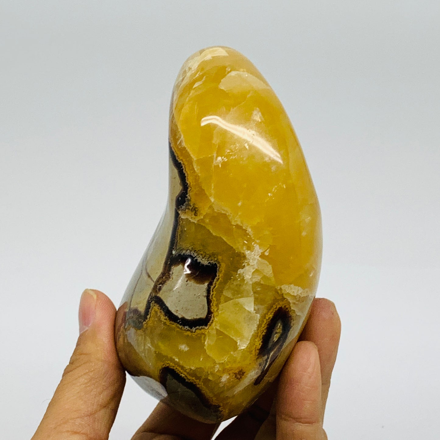 1.55 lbs, 4.2"x3"x2", Septarian Nodules Freeform Polished Crystal, B37394