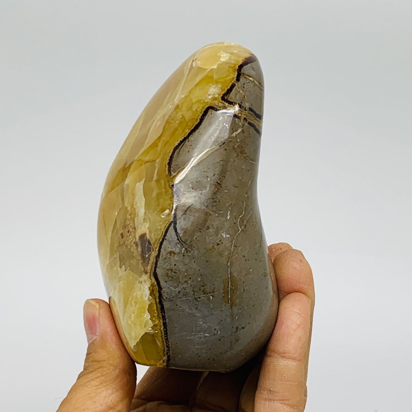 1.55 lbs, 4.2"x3"x2", Septarian Nodules Freeform Polished Crystal, B37394