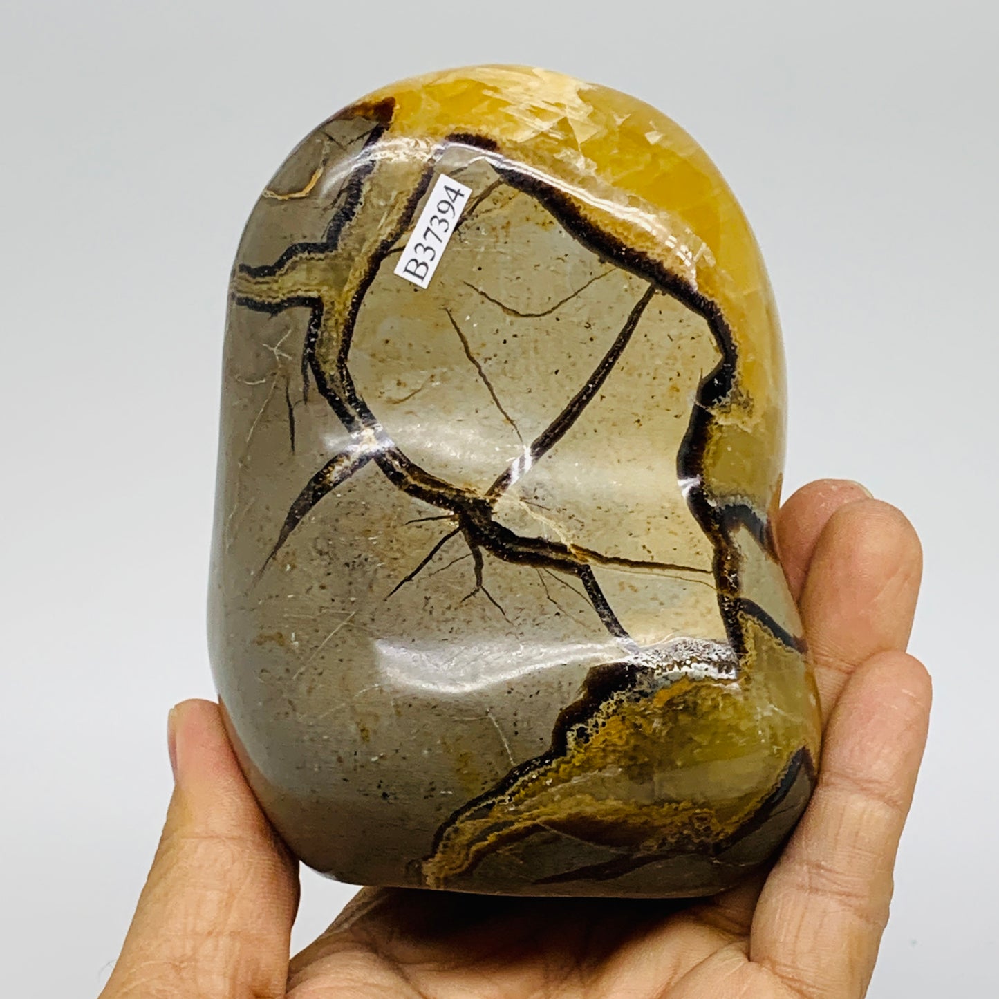 1.55 lbs, 4.2"x3"x2", Septarian Nodules Freeform Polished Crystal, B37394