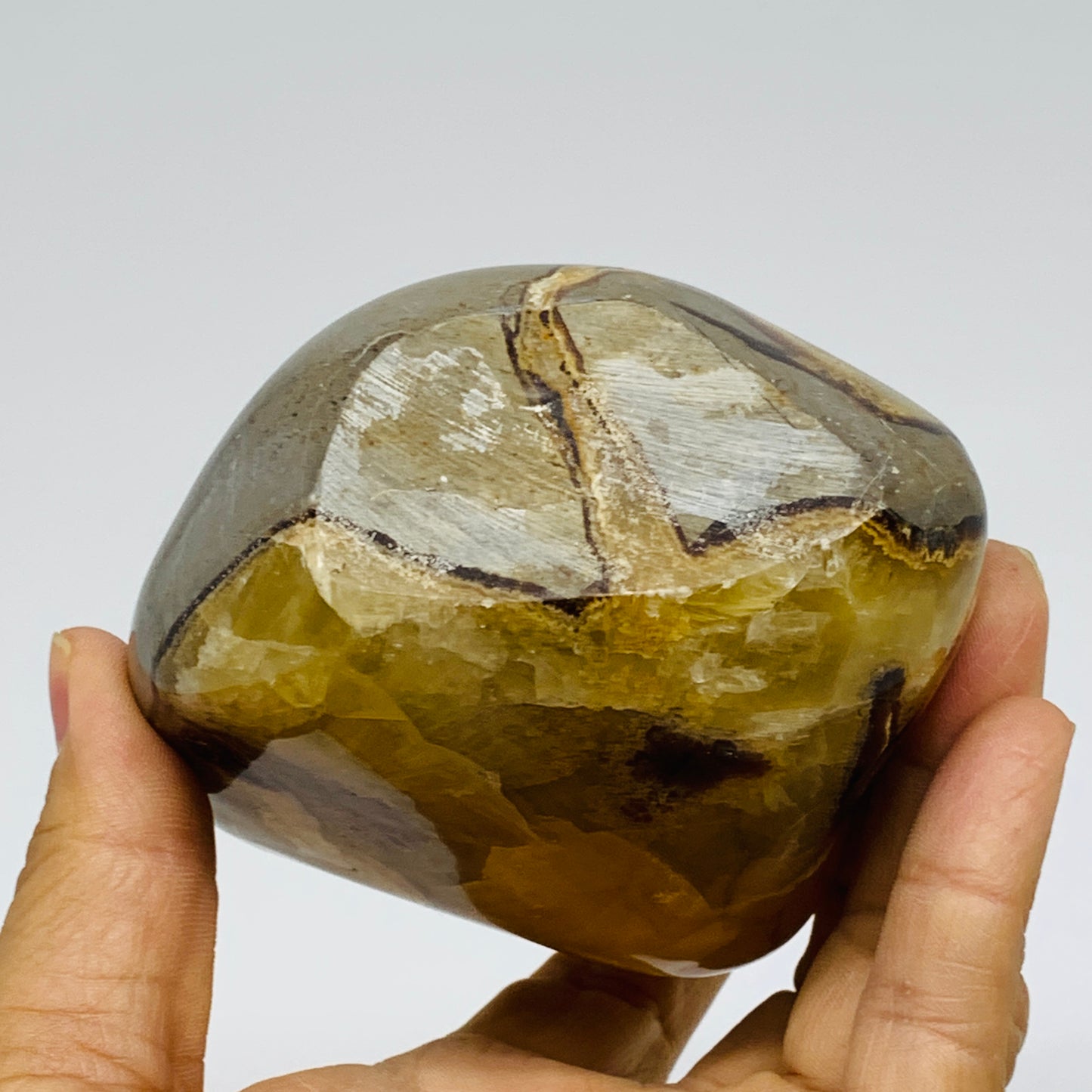 1.55 lbs, 4.2"x3"x2", Septarian Nodules Freeform Polished Crystal, B37394