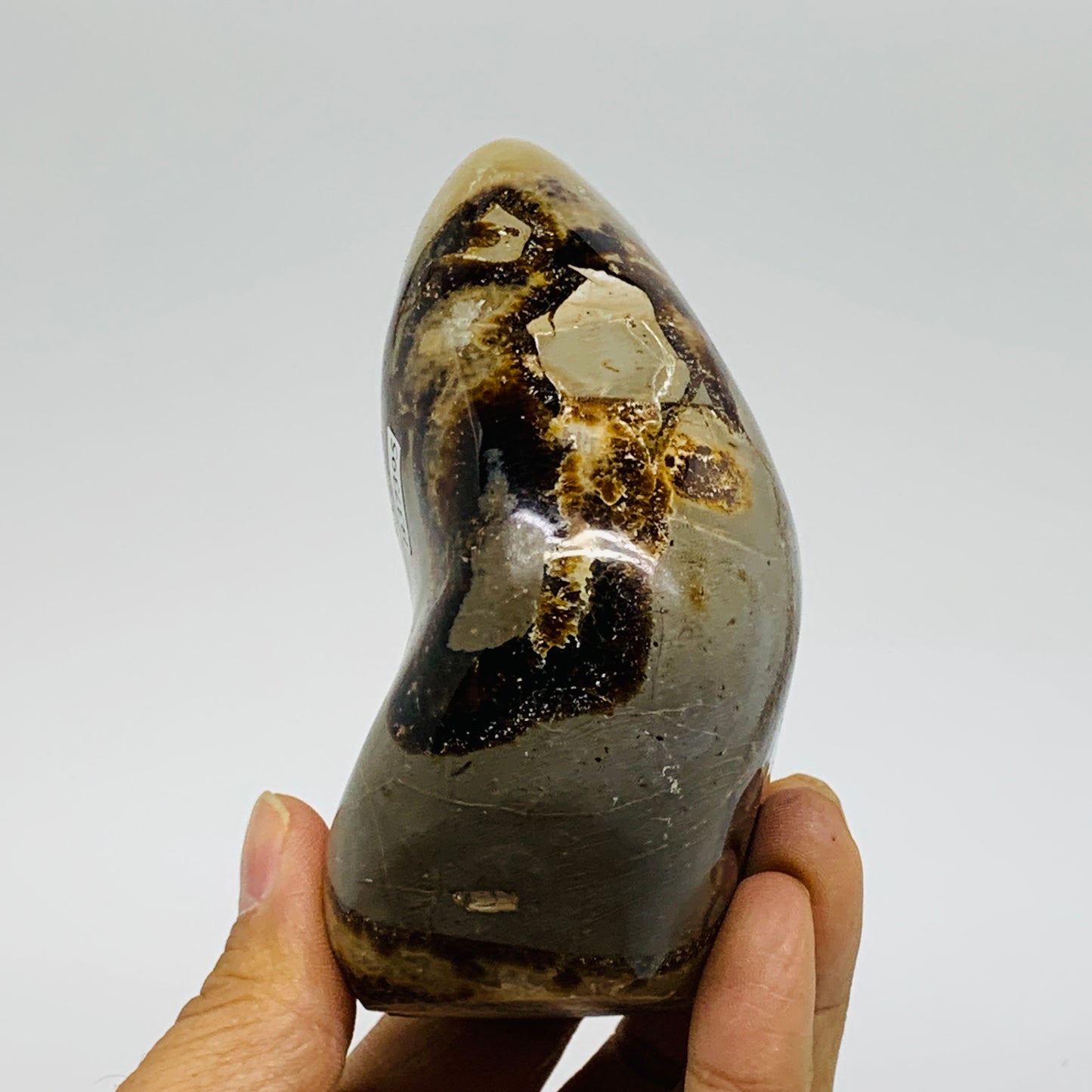 1.24 lbs, 3.9"x2.9"x1.8", Septarian Nodules Freeform Polished Crystal, B37395