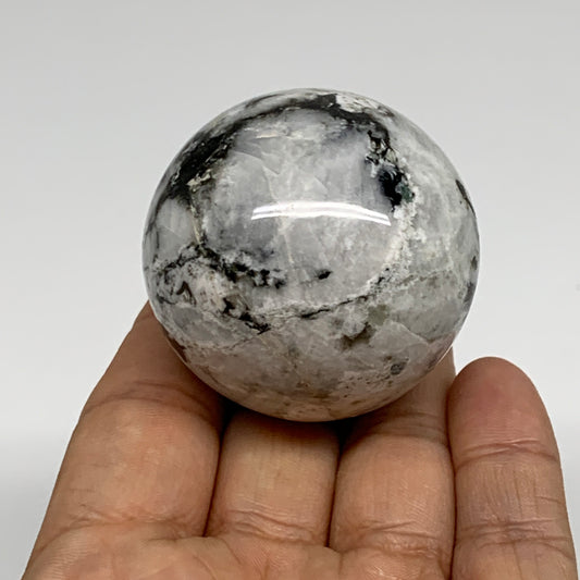 134.3g, 1.8"(46mm), Natural Rainbow Moonstone Sphere Ball Gemstone, B35172