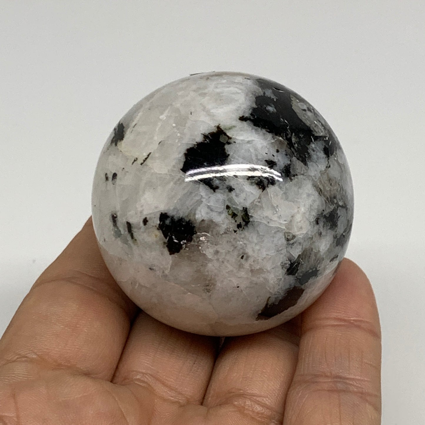 155.6g, 1.9"(48mm), Natural Rainbow Moonstone Sphere Ball Gemstone, B34388