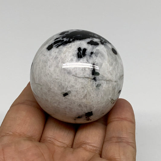 156g, 1.9"(48mm), Natural Rainbow Moonstone Sphere Ball Gemstone, B34391