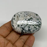 76.6g, 2.2"x1.7"x0.8", Tree Agate Palm-Stone Reiki Energy Crystal Reiki, B29486